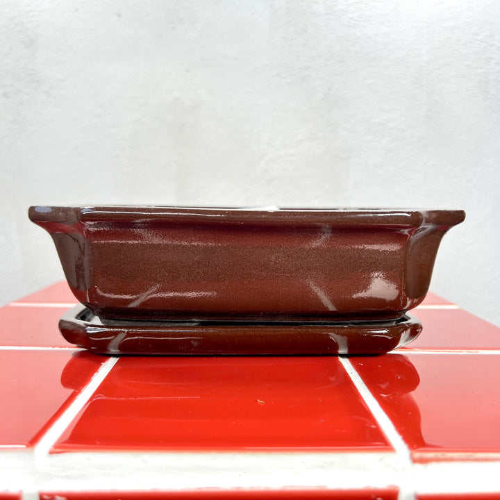 Rectangular Bonsai Pot with Saucer – Small