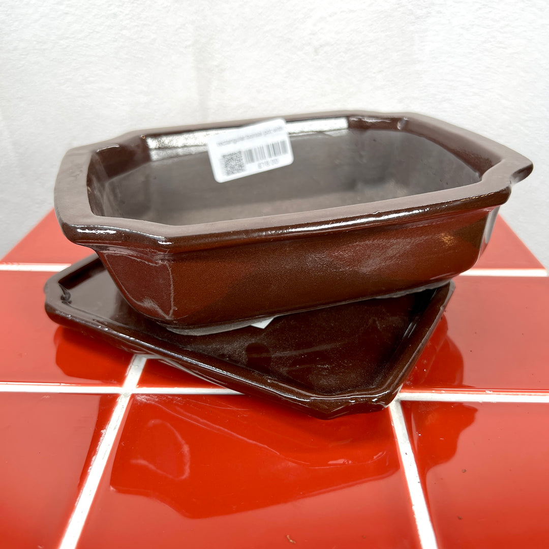 Rectangular Bonsai Pot with Saucer – Small