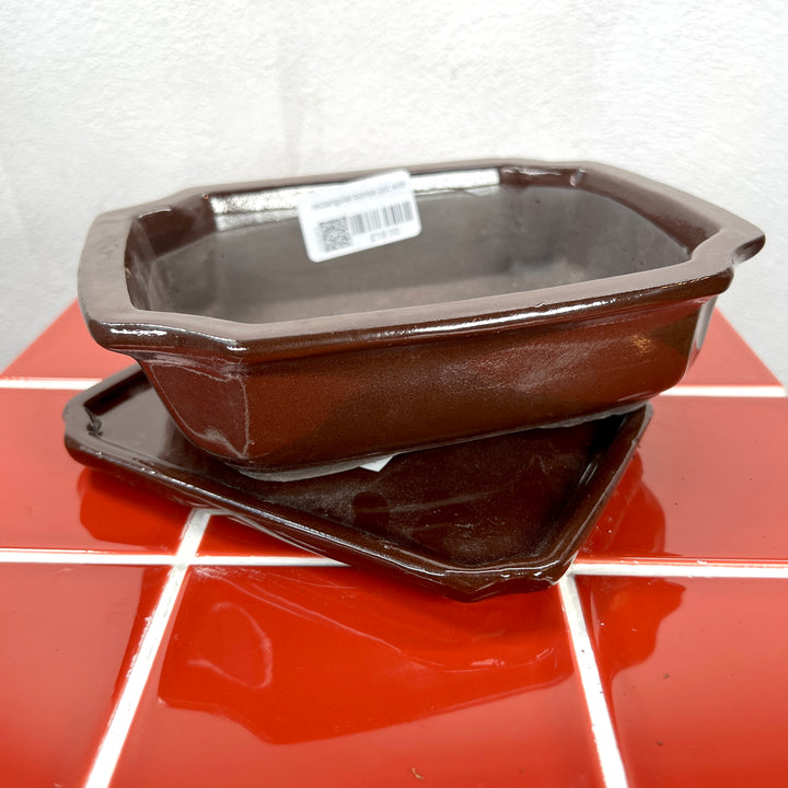 Rectangular Bonsai Pot with Saucer – Small