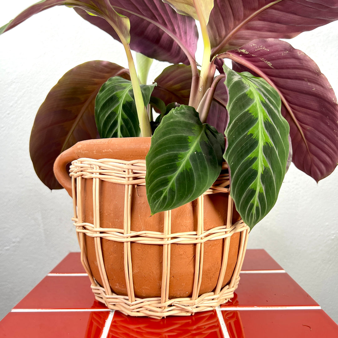 Terracotta & Willow Woven Pot with Handles – 23cm
