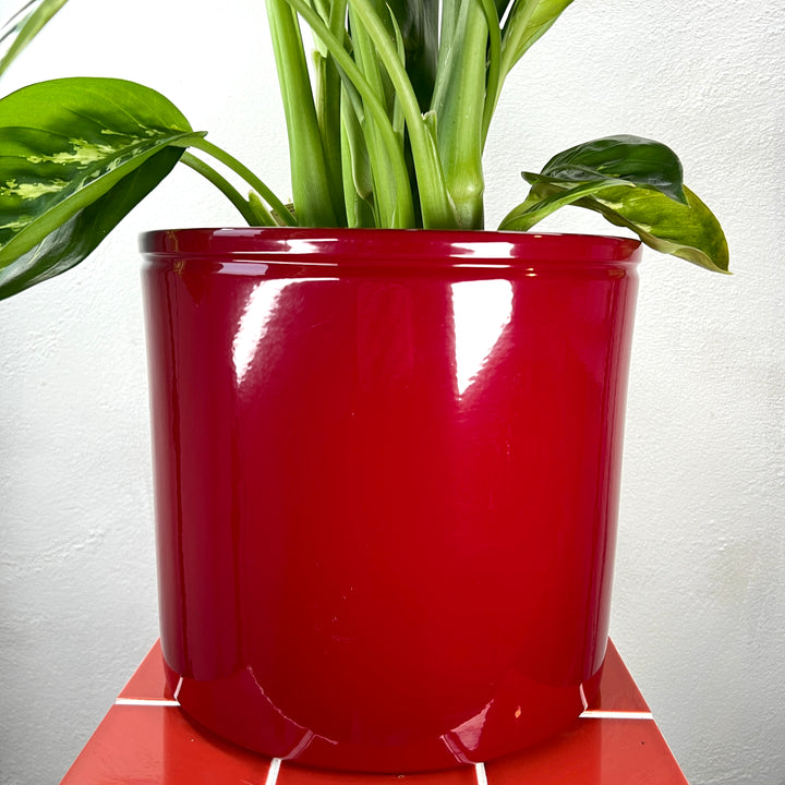 Lucca Plant pot
