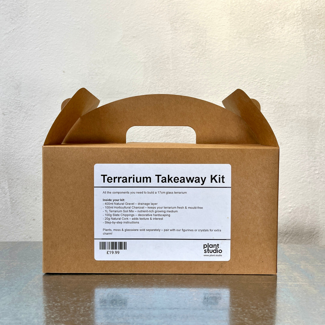 Terrarium Takeaway Kit –  DIY Complete Supplies for a 16cm Glass Terrarium