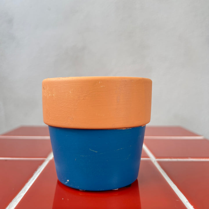 Terra two tone mini plant pot