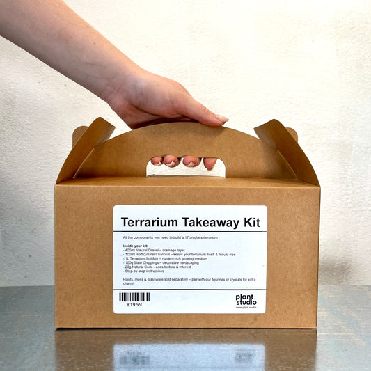 Terrarium Takeaway Kit –  DIY Complete Supplies for a 16cm Glass Terrarium