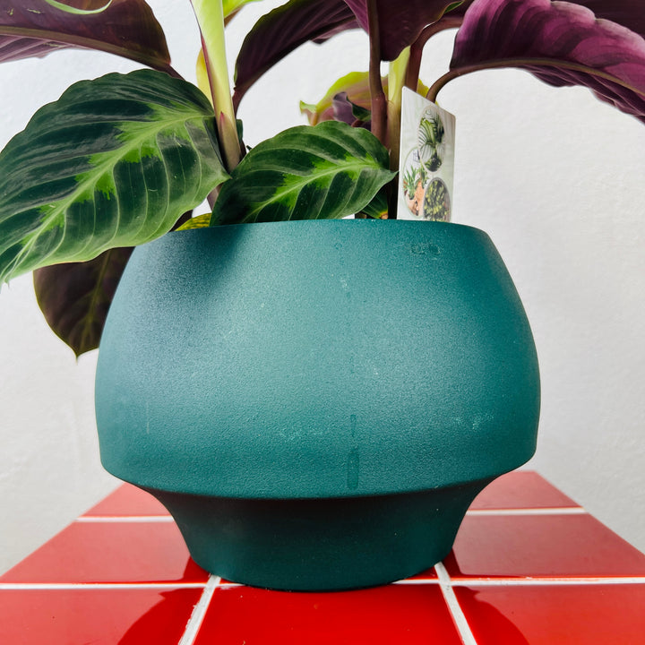 Modern Green Metal Planter – 3 Sizes