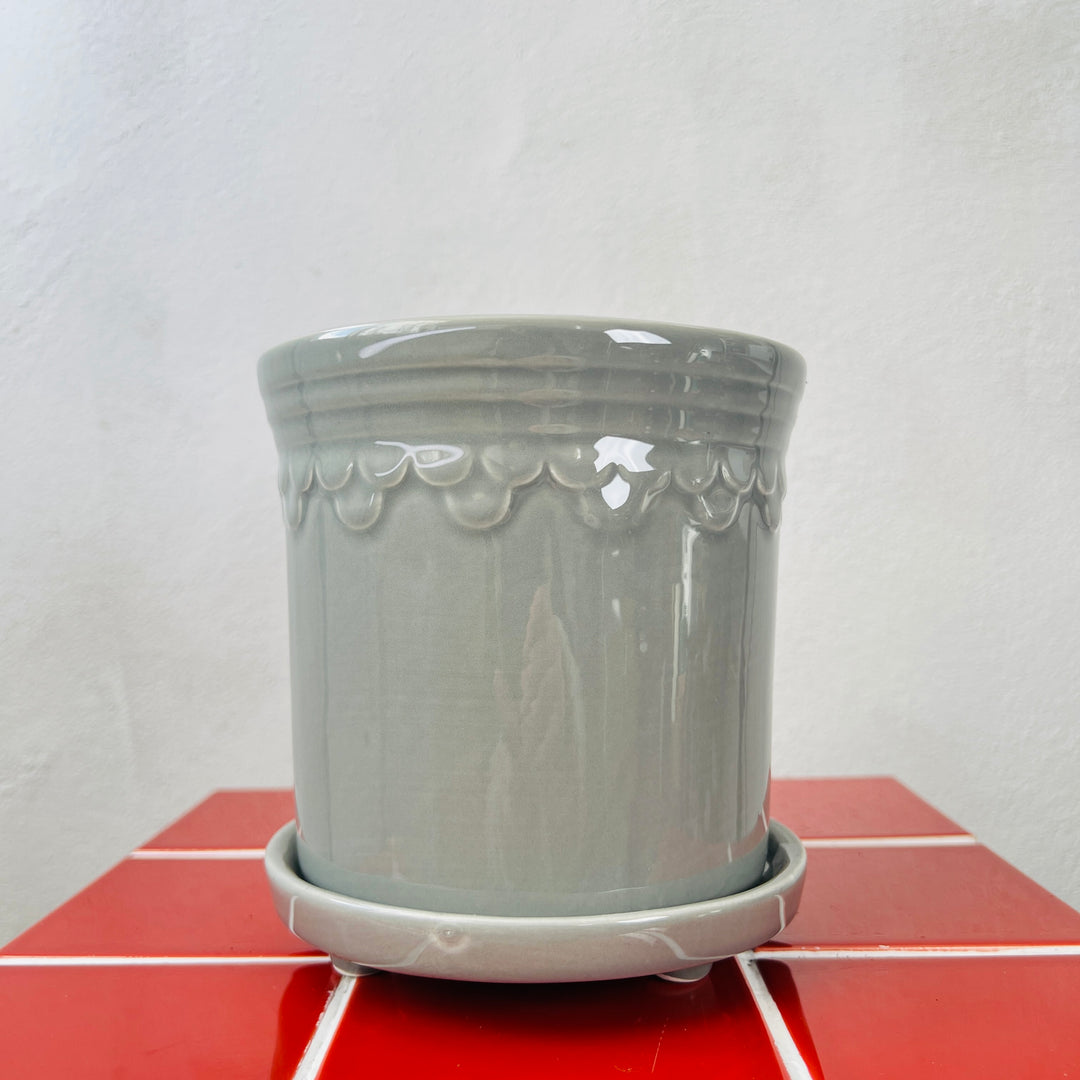 Grey Scallop Pot with Saucer