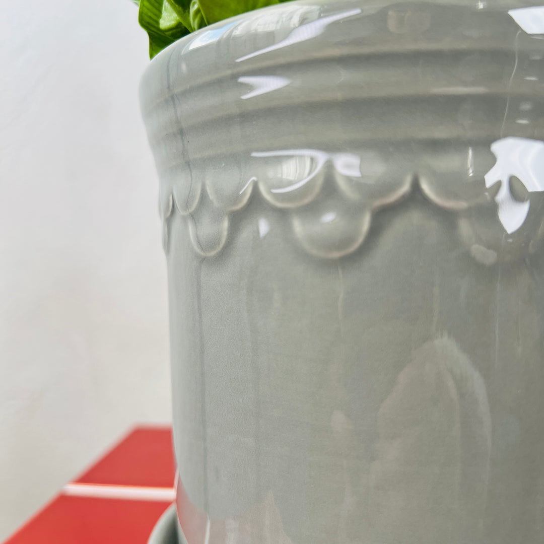 Grey Scallop Pot with Saucer