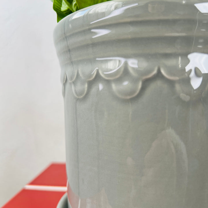 Grey Scallop Pot with Saucer