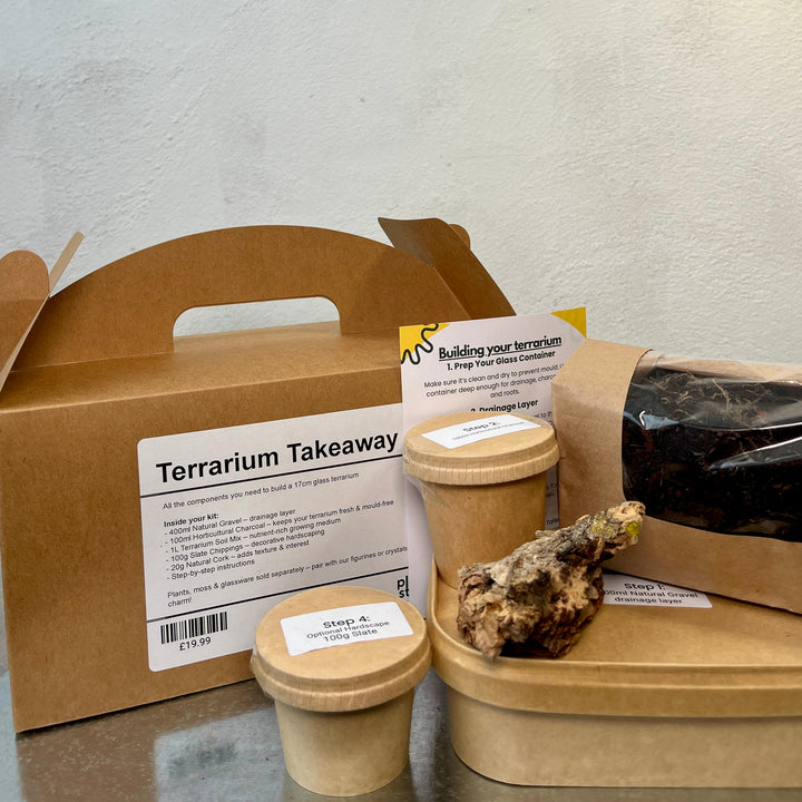Terrarium Takeaway Kit –  DIY Complete Supplies for a 16cm Glass Terrarium