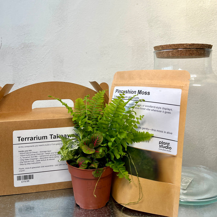 Terrarium Takeaway Kit –  DIY Complete Supplies for a 16cm Glass Terrarium