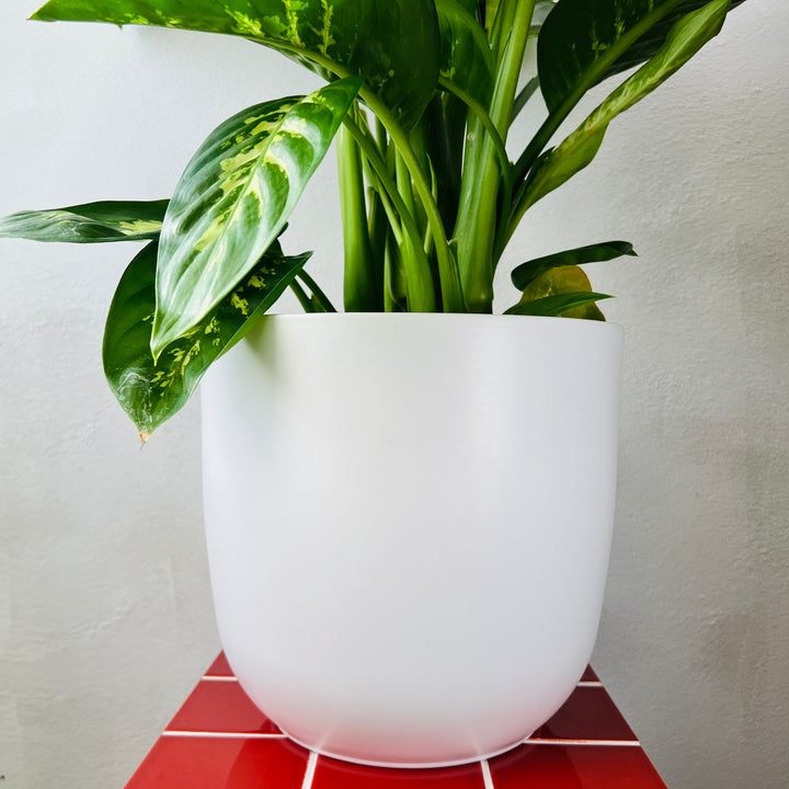 Dove White Ceramic Pot