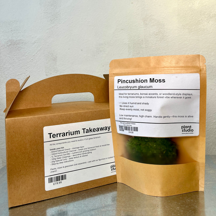 Terrarium Takeaway Kit –  DIY Complete Supplies for a 16cm Glass Terrarium