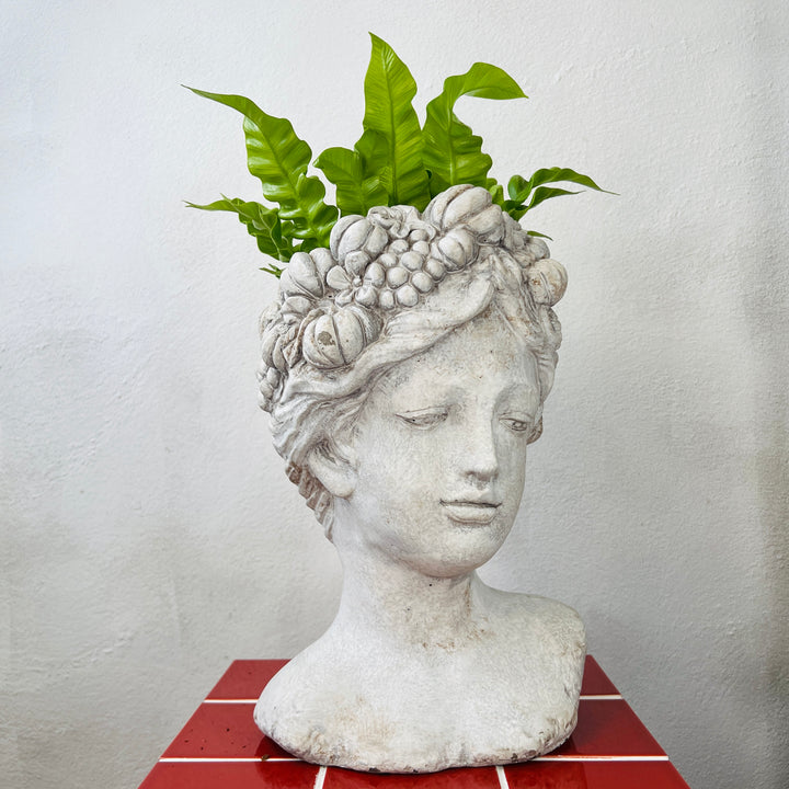 Concrete Fruit Face Pot