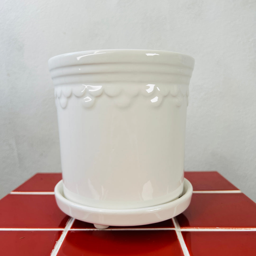 White Scallop Pot with Saucer