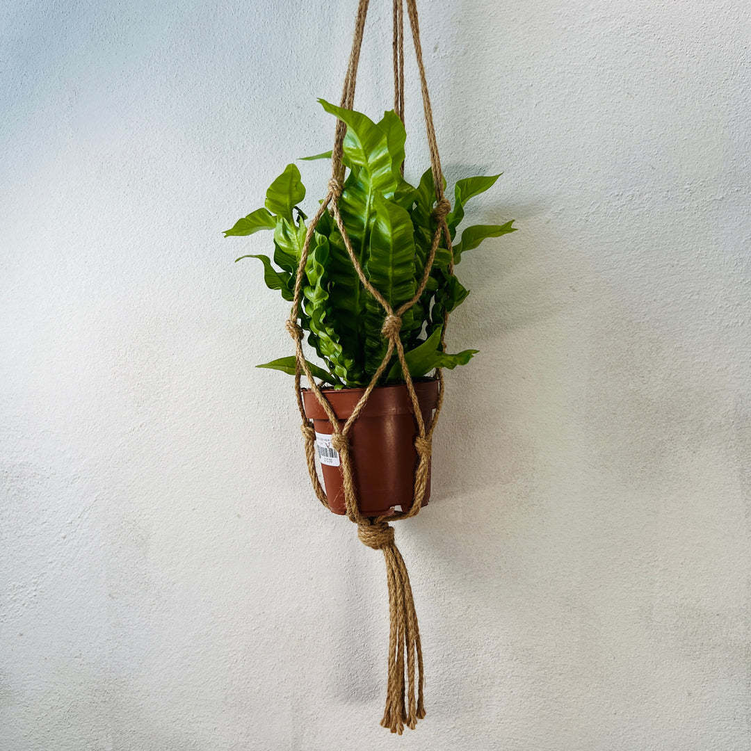 Macrame rope hangar 90cm