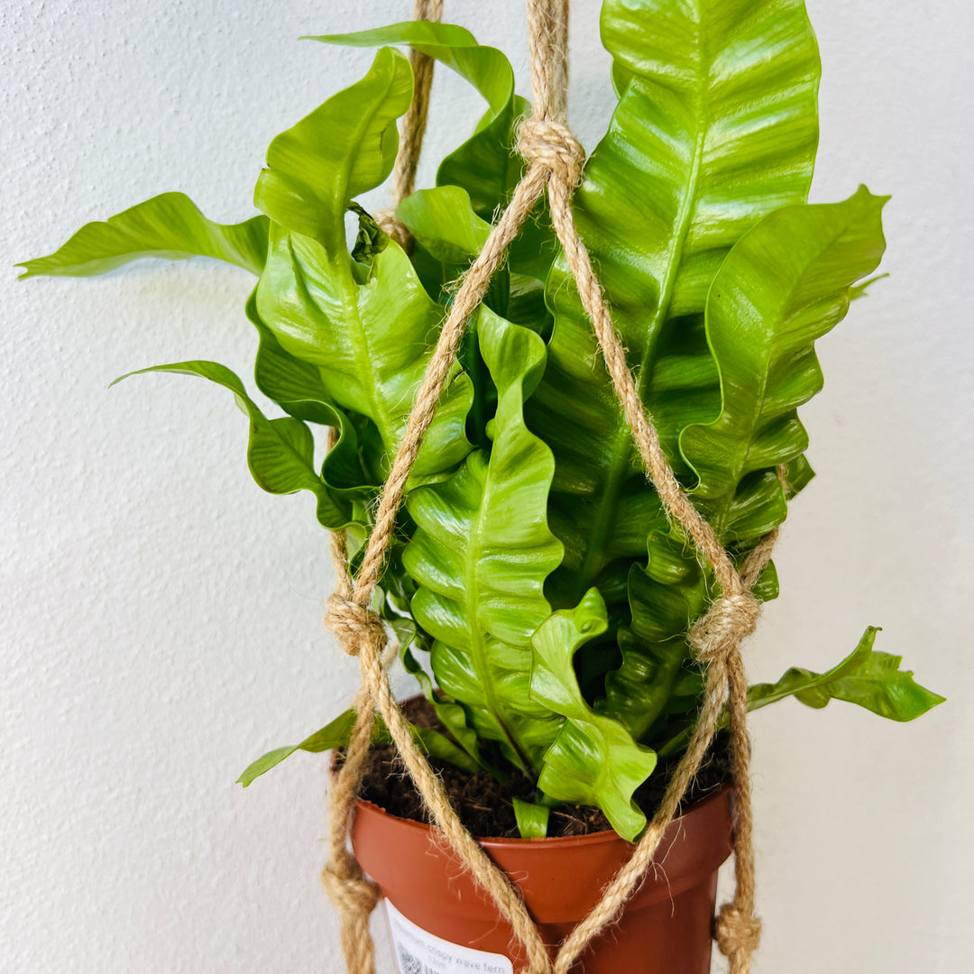 Macrame rope hangar 90cm