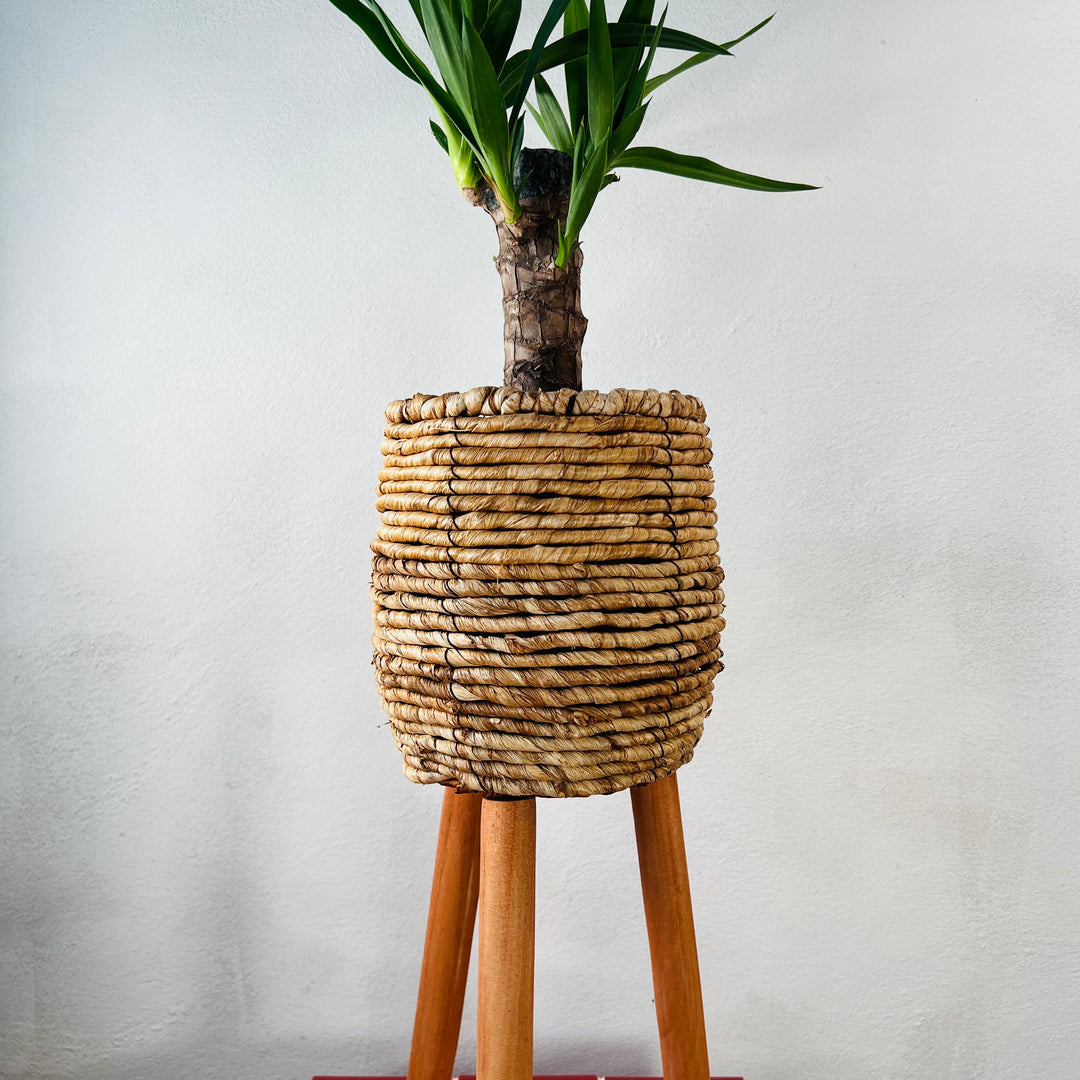 Loftier Natural Basket On Feet