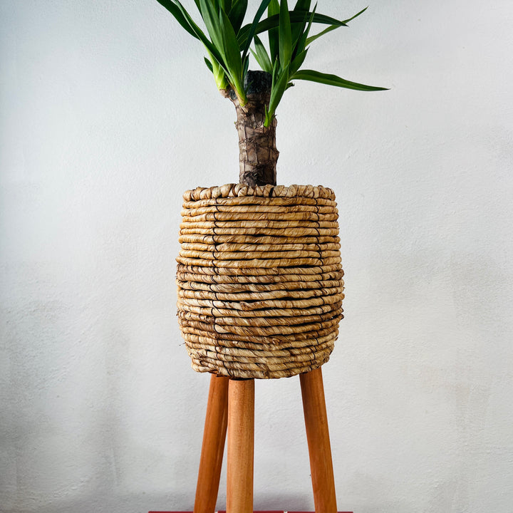 Loftier Natural Basket On Feet