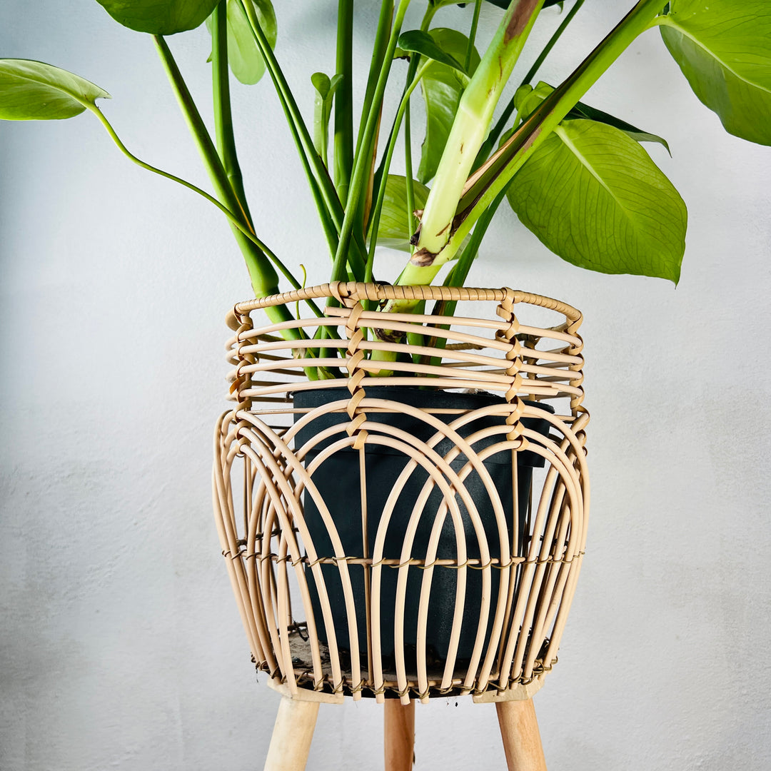 Faux “Rattan” Tripod Plant Stand