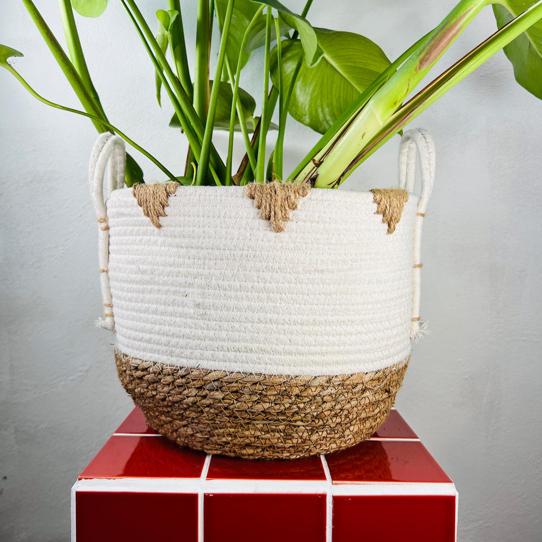 White cotton basket my