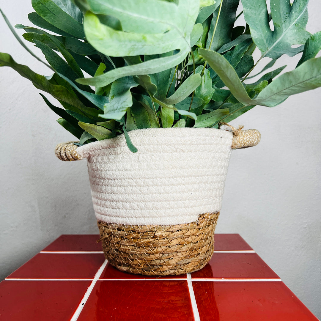 Laura white trim Basket