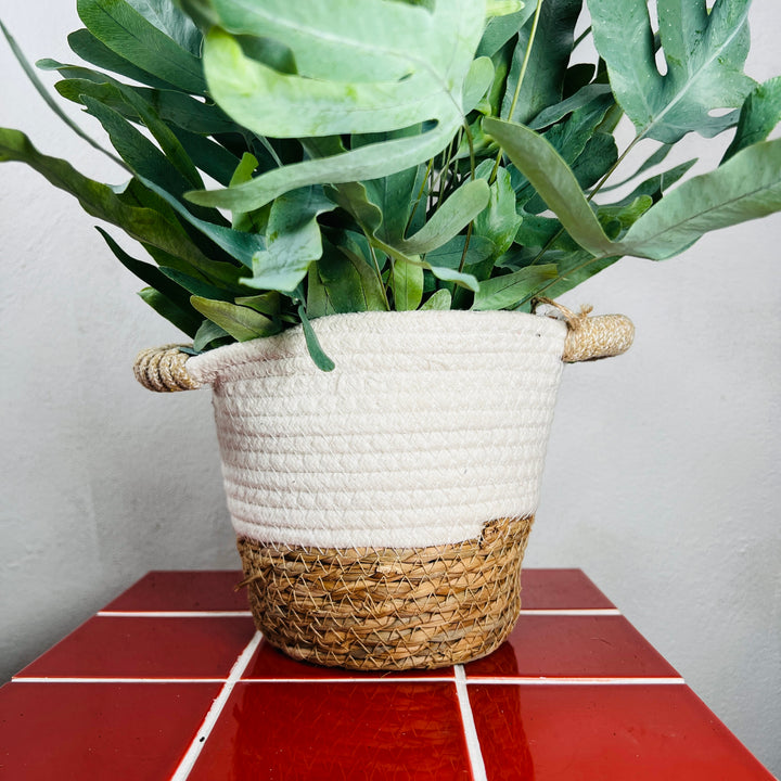 Laura white trim Basket