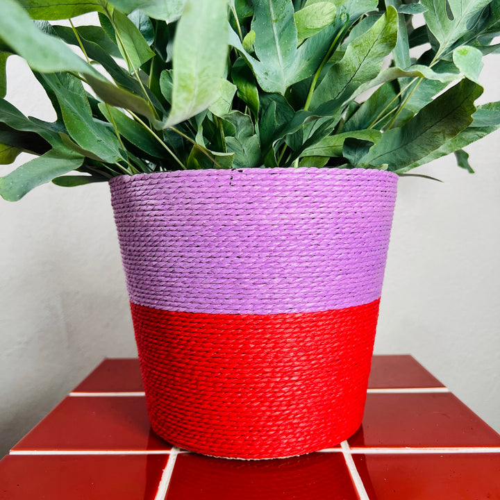 Riley Basket lilac/red