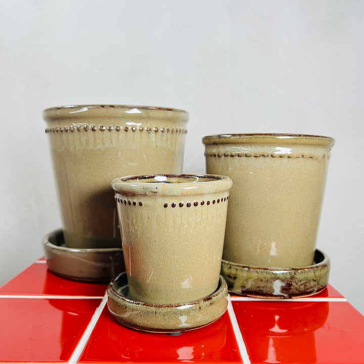 Glazed Flower Pot with Saucer