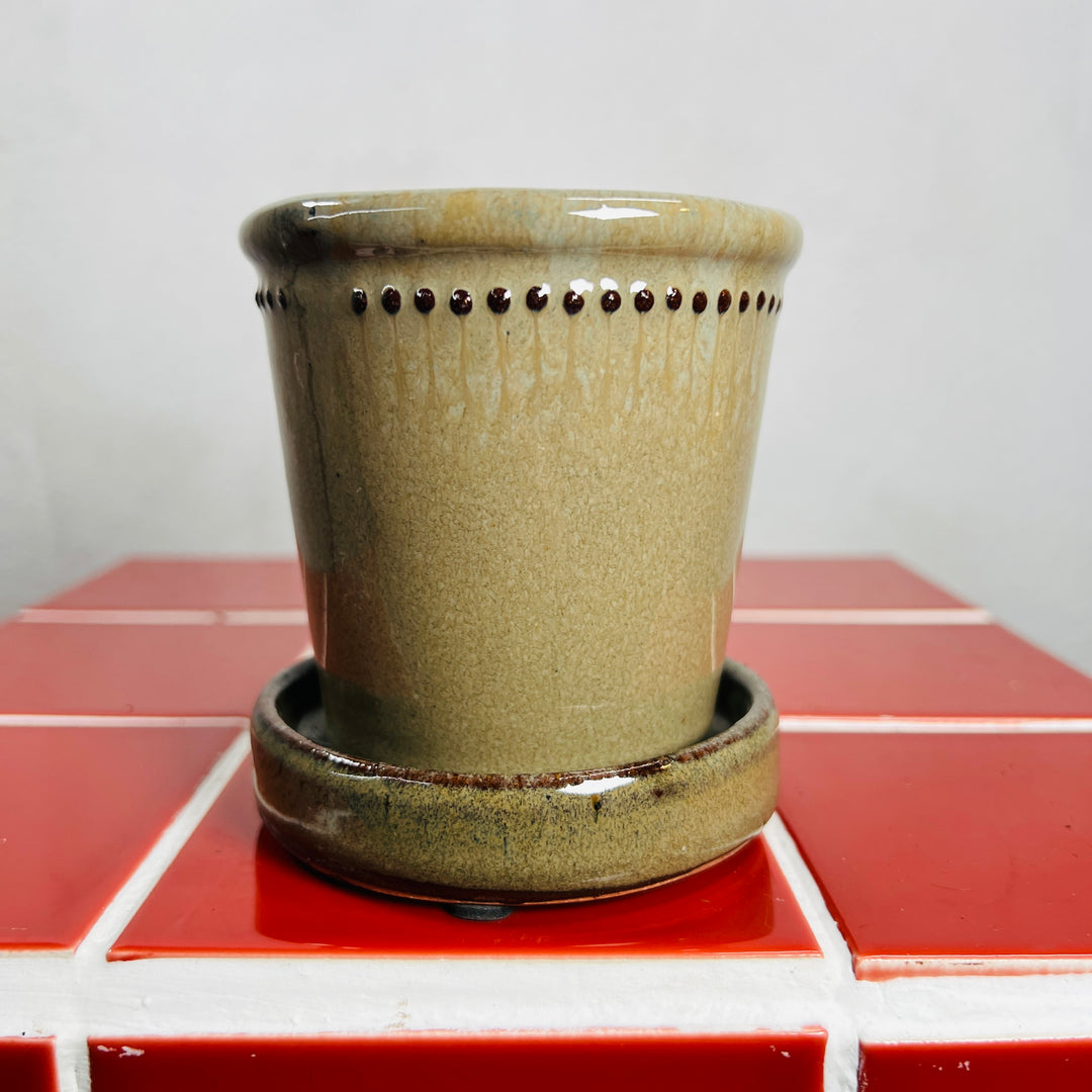 Glazed Flower Pot with Saucer