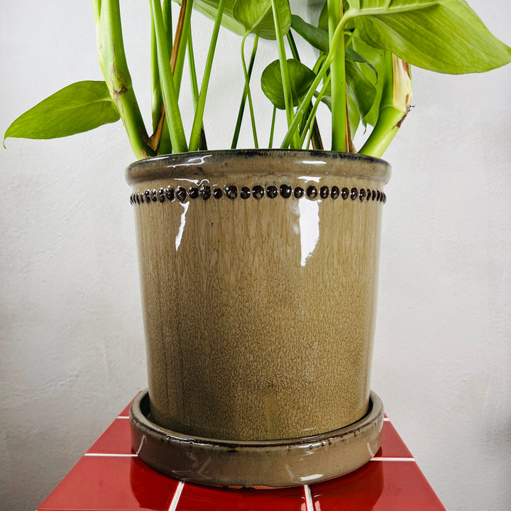 Glazed Flower Pot with Saucer