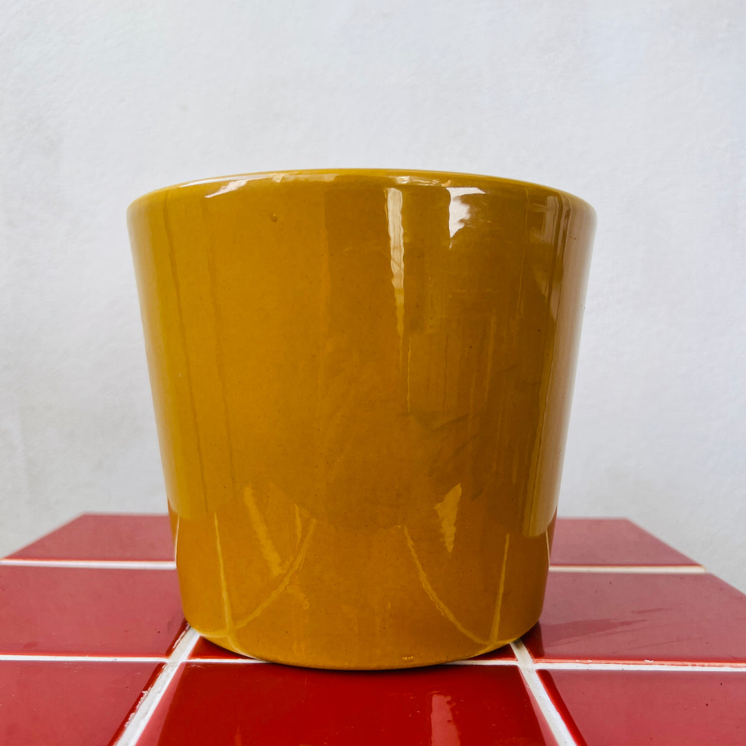 Ceramic Shiny Curry Pot