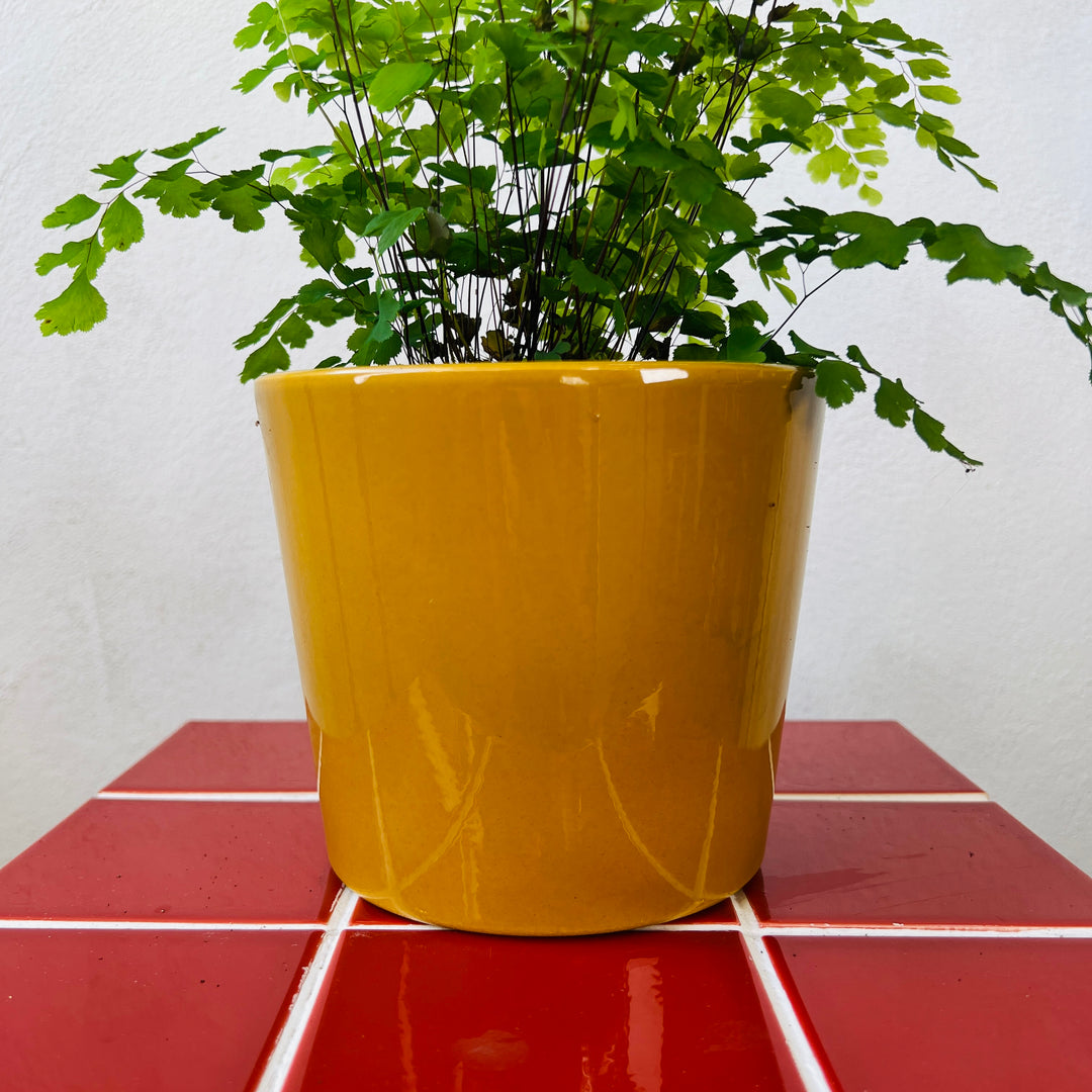 Ceramic Shiny Curry Pot