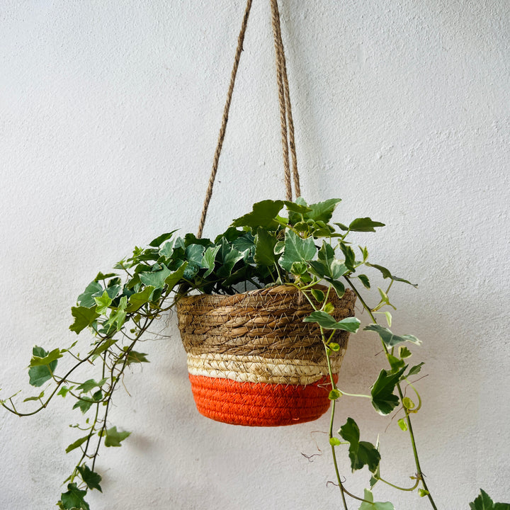 Makka Hanging Basket Orange Stripes