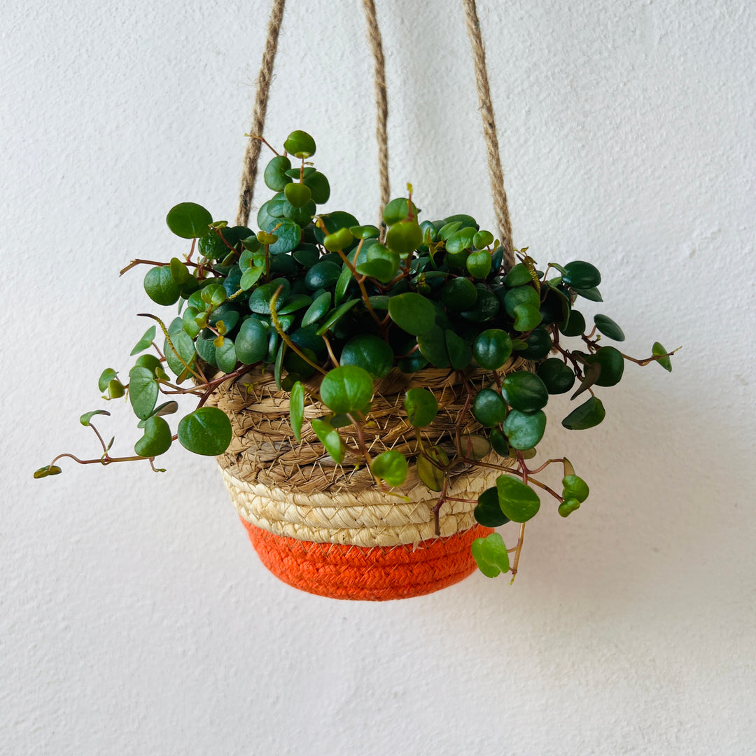 Makka Hanging Basket Orange Stripes