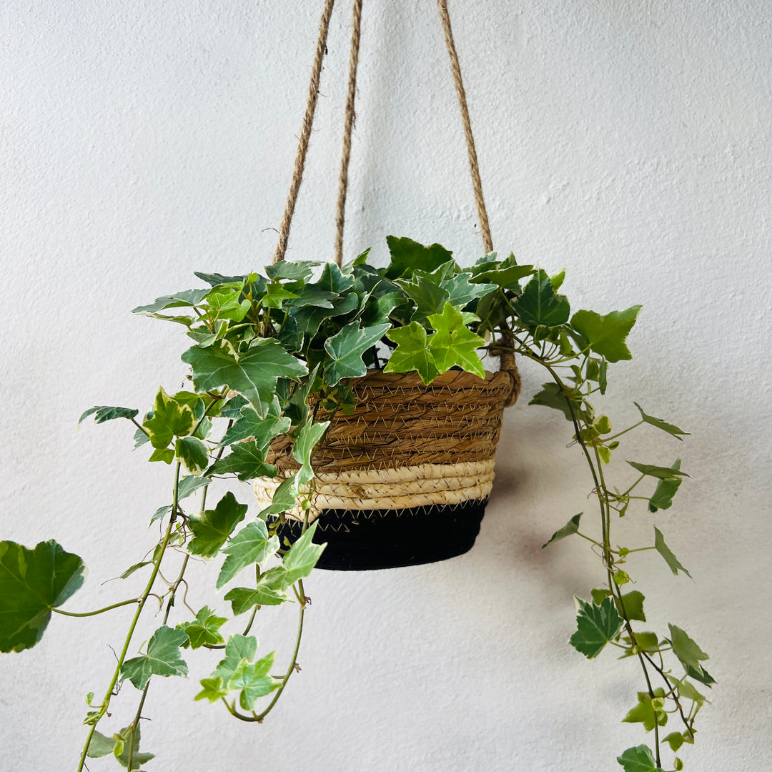 Makka Hanging Basket Black Stripes