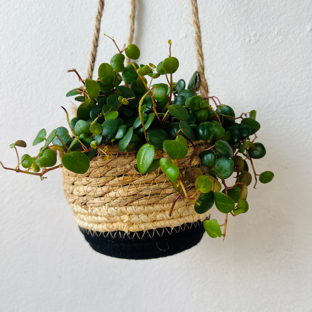 Makka Hanging Basket Black Stripes