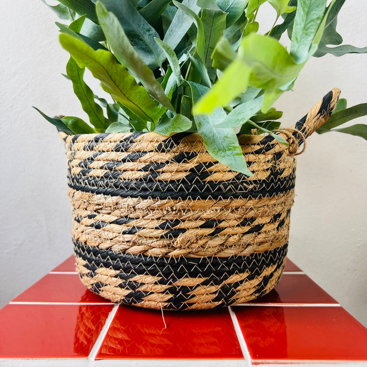 Basket Luevo – Natural & Black Woven Plant Basket