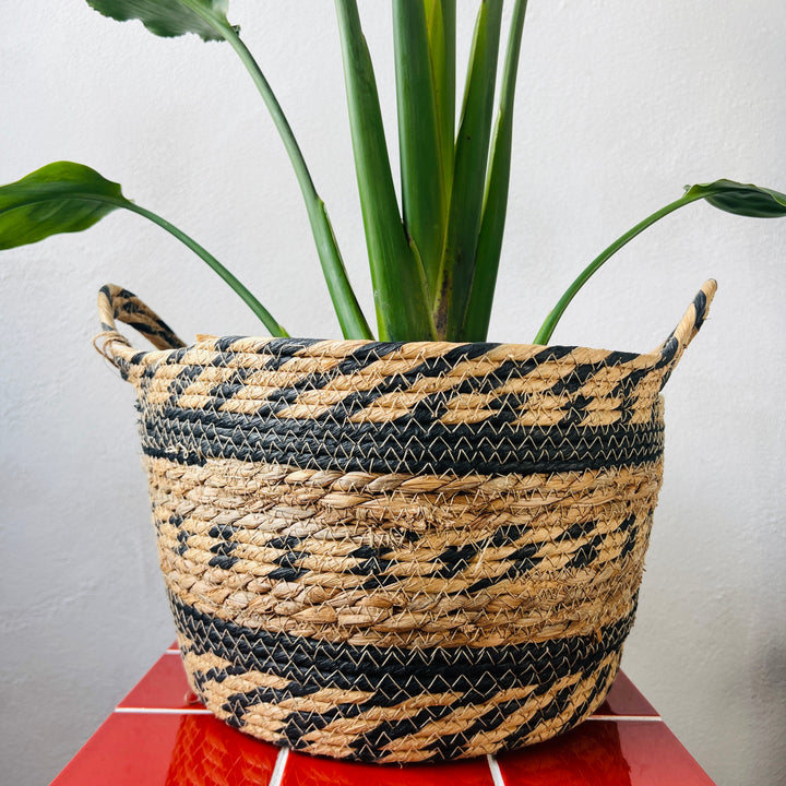 Basket Luevo – Natural & Black Woven Plant Basket