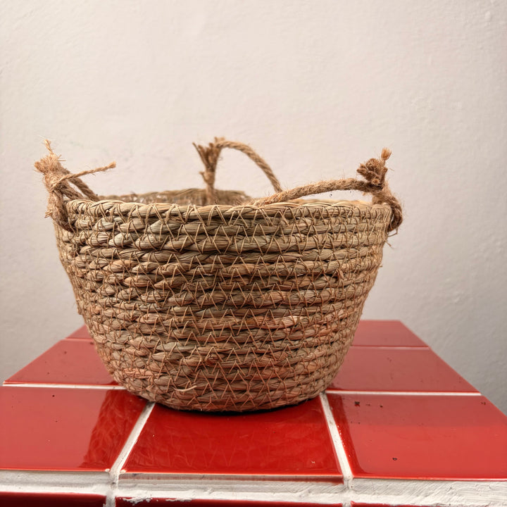 Oval Woven Hanging Basket