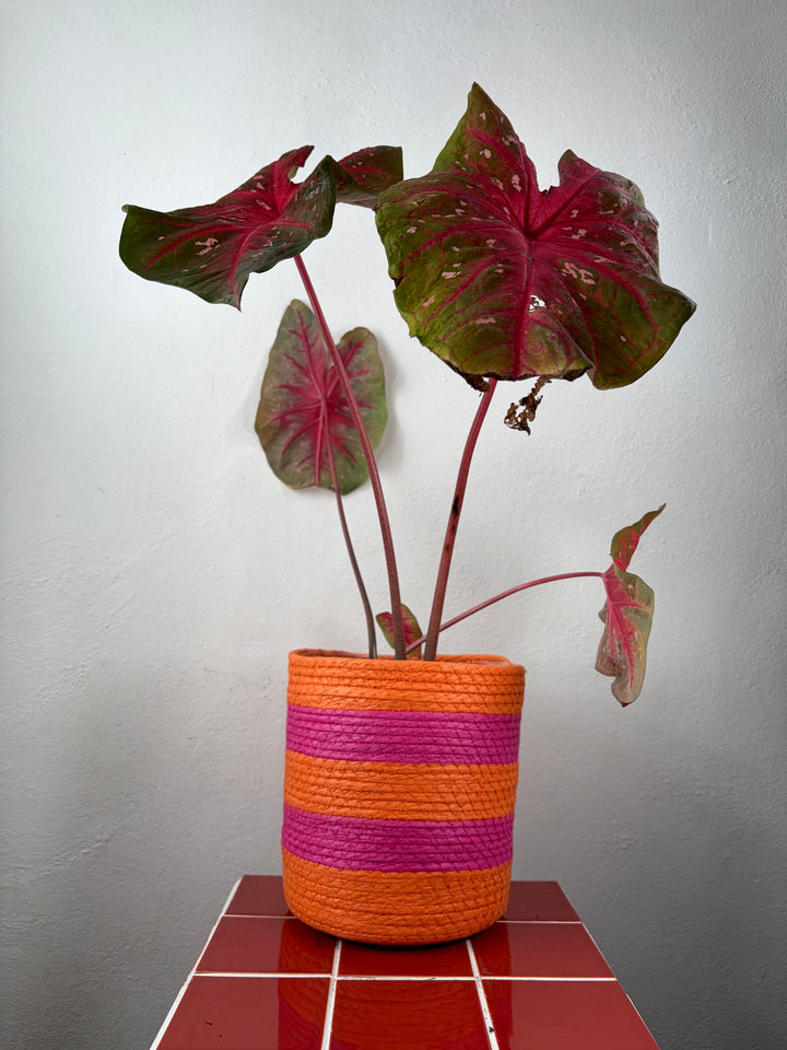 Orange & Pink Woven Plant Basket Cover