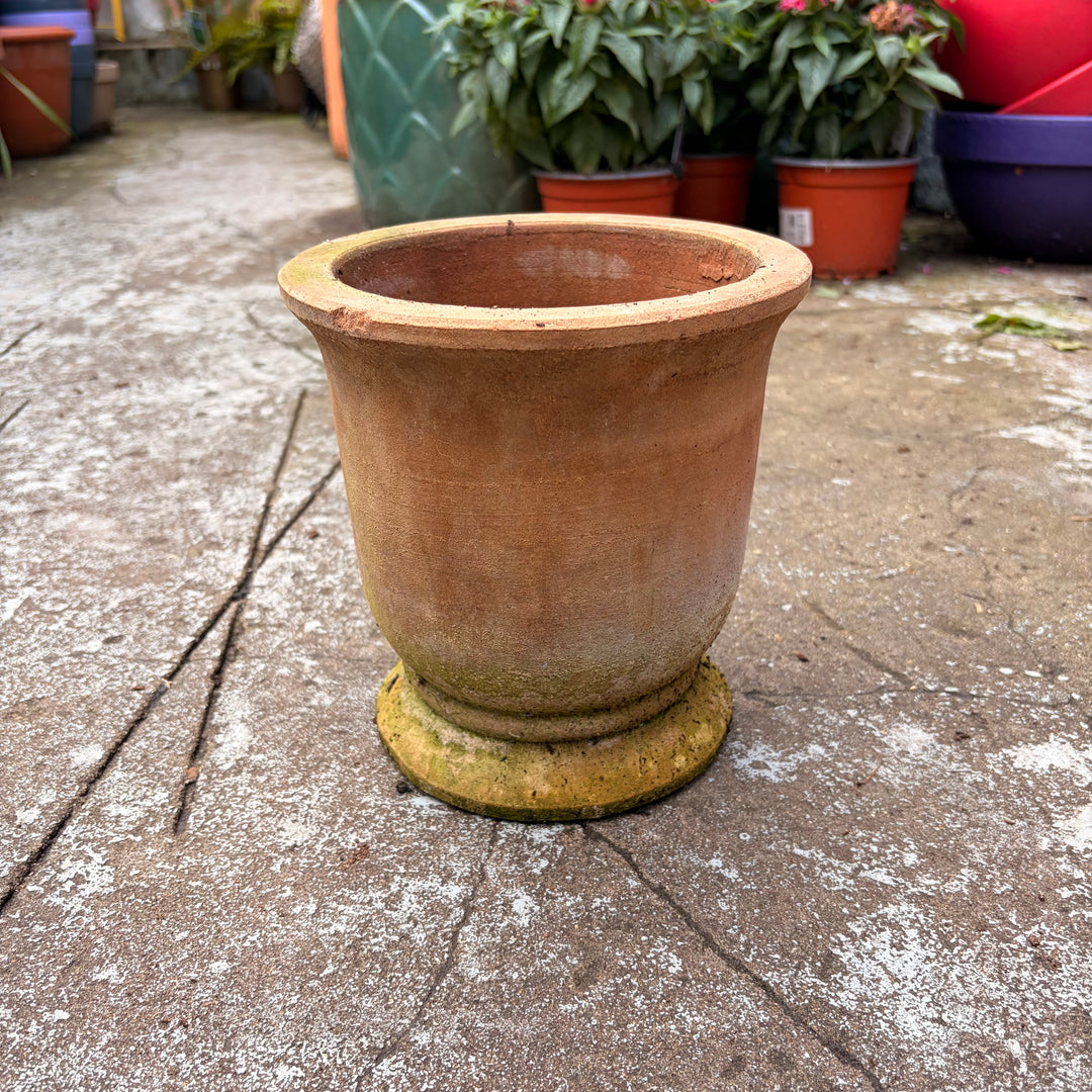 Terracotta Pot Berta