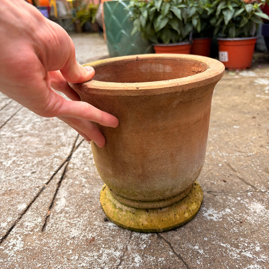 Terracotta Pot Berta