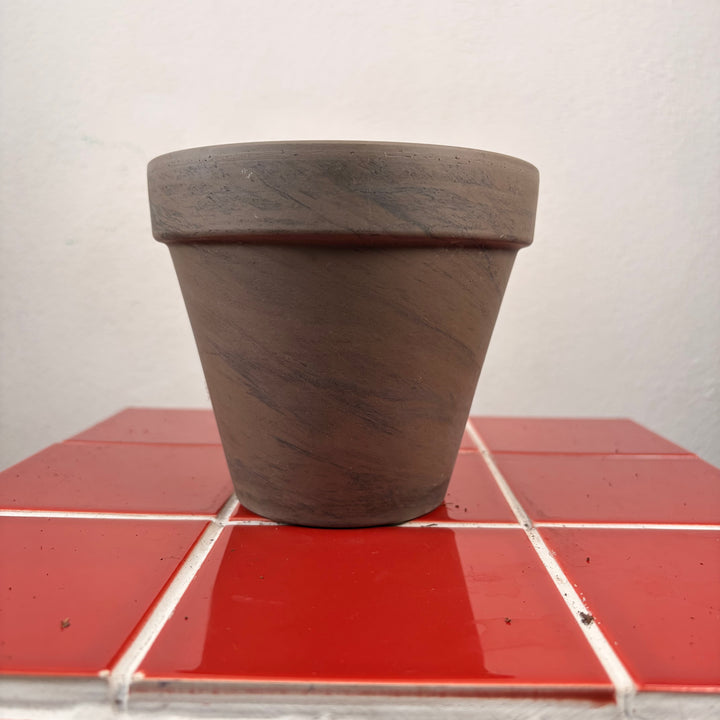 Grey Terracotta pot