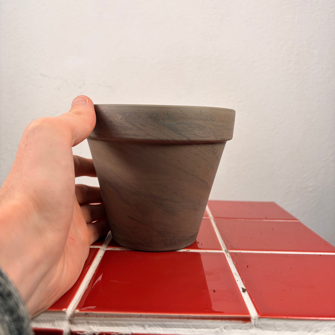 Grey Terracotta pot