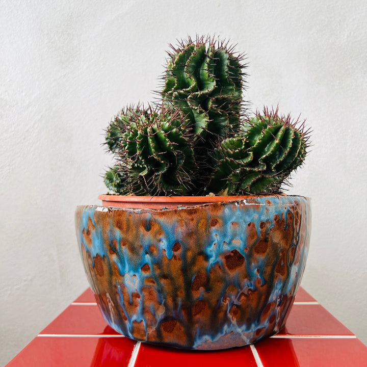 Olivia Bowl – D24 × H11 cm