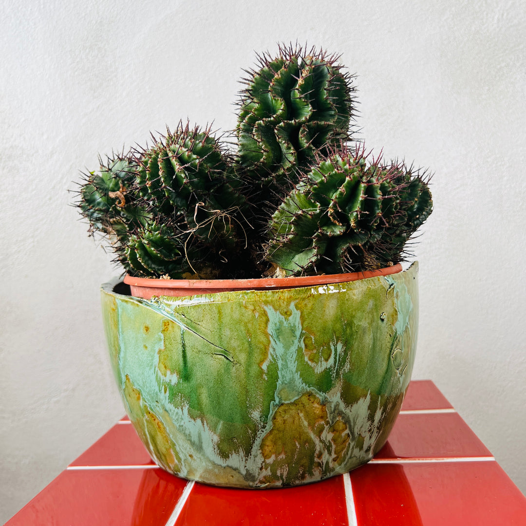 Olivia Bowl – D24 × H11 cm