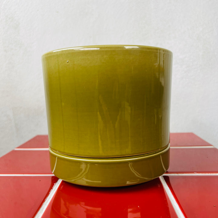 Olive Gloss Cylinder Pot – 12cm