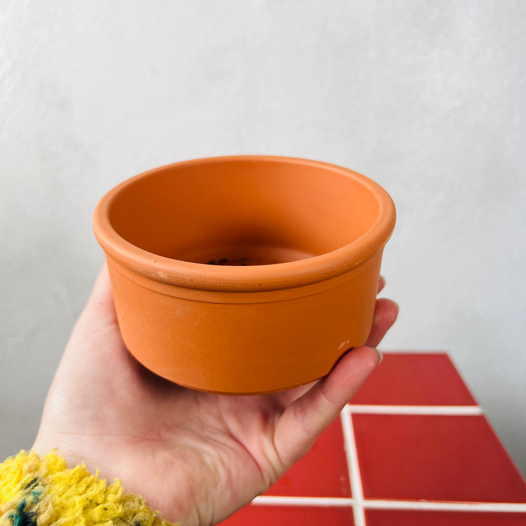 Terracotta Autumn Bowl – 14cm