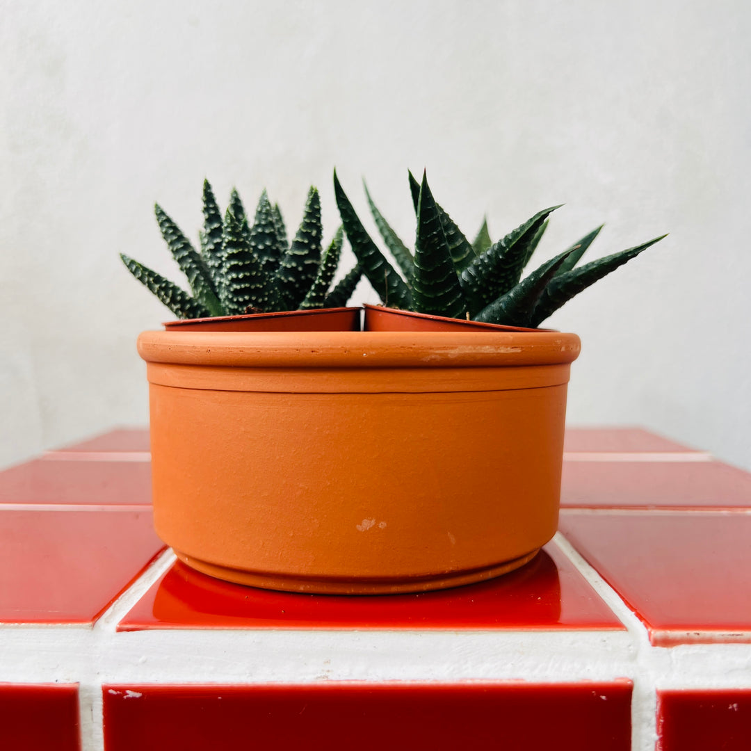 Terracotta Autumn Bowl – 14cm