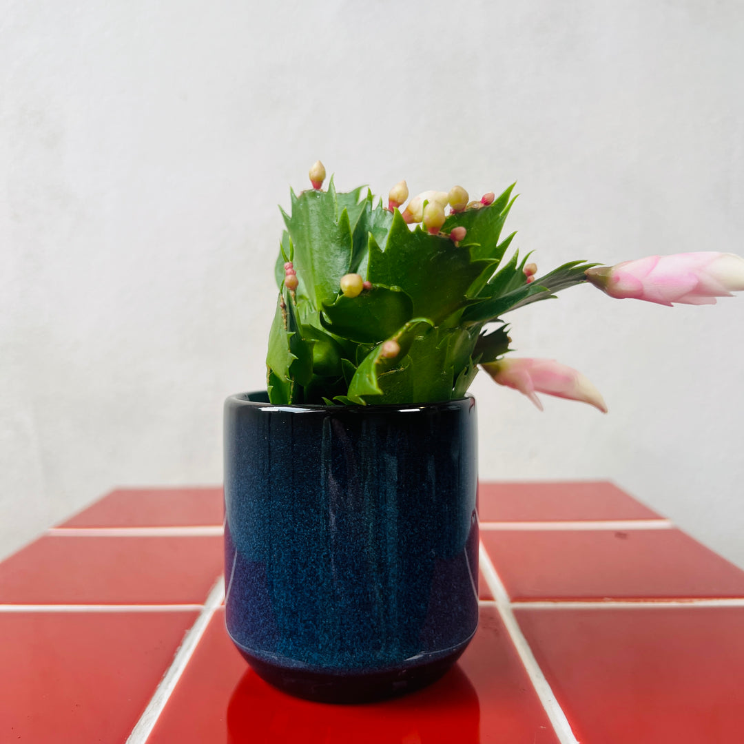 Reactive Glaze Mini Pot – 6cm